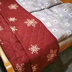 Dana Appartamento Wängle