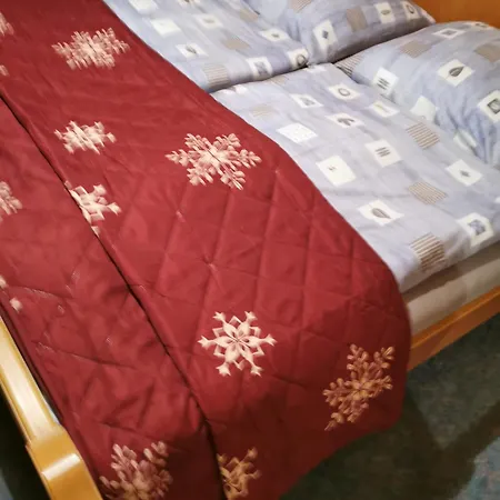 Dana Appartement Wängle